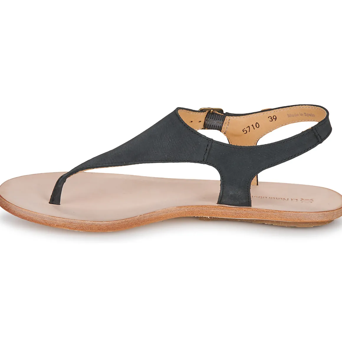 El Naturalista - CORATINA N5710